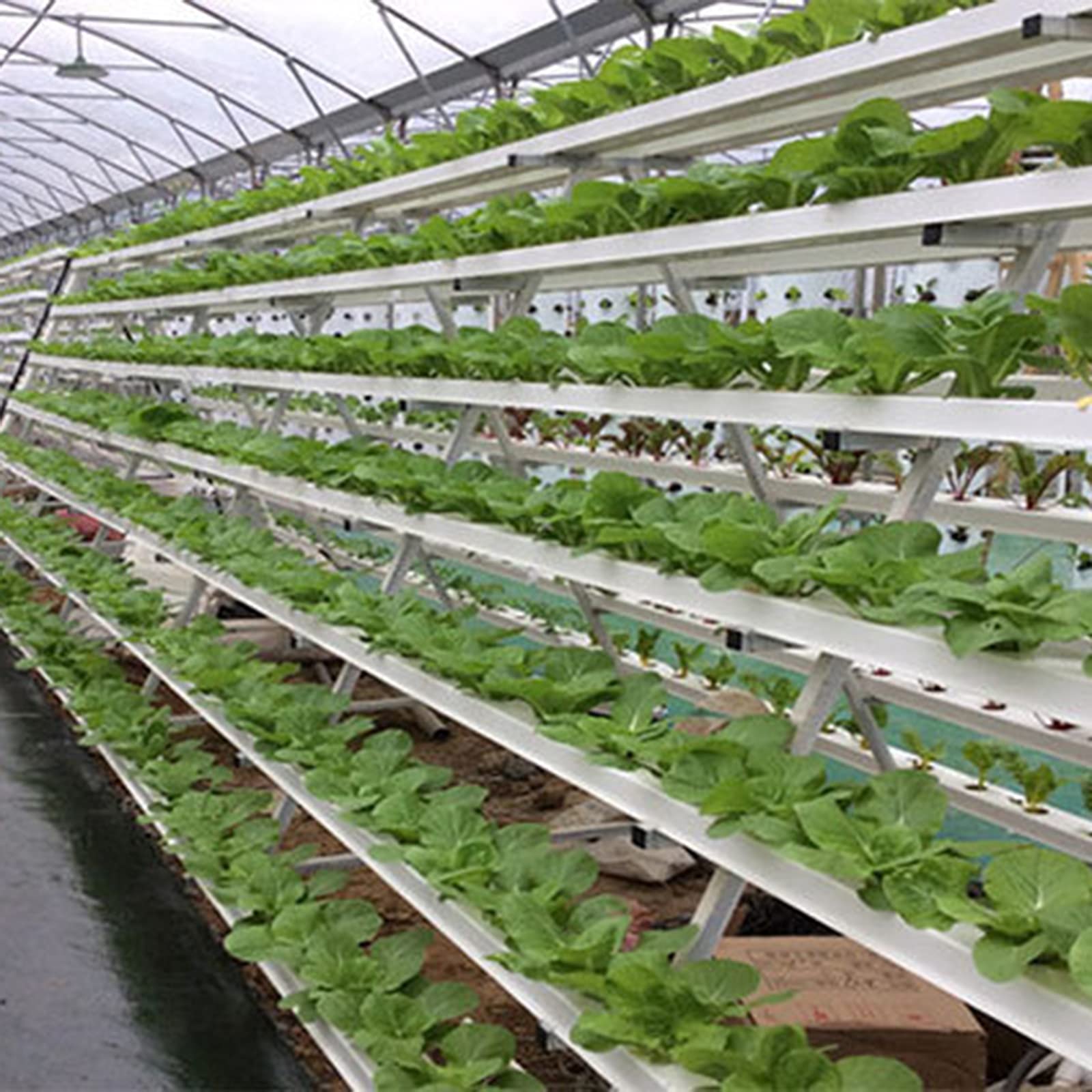 Produktbild von 54 Löcher Hydroponic Tower 6 Rohr Hydroponics Growing Syste, PVC-U-Rohre 1-Layer Hydroponisches