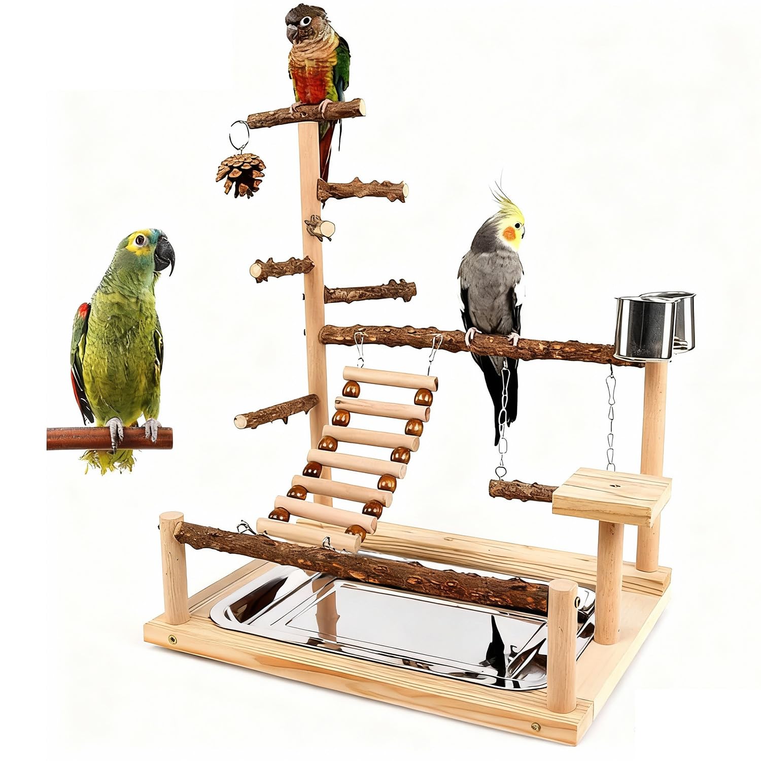 Aire de jeux pour oiseaux, perchoir pour perroquet, support de jeu en bois naturel pour calopsitte, perchoir en bois, échelle avec plateau et 2 tasses en acier inoxydable, accessoires de cage à