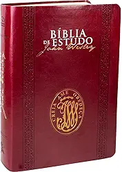 Bíblia de Estudo John Wesley NAA: Nova Almeida Atualizada (NAA)