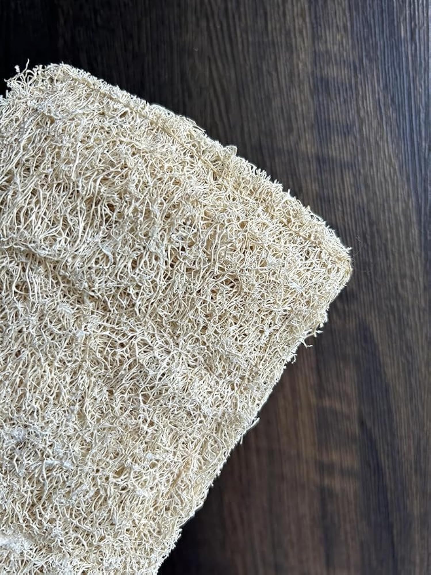 Natural Loofah Body Scrubber, Organic Bath Scrub & Exfoliating Brush