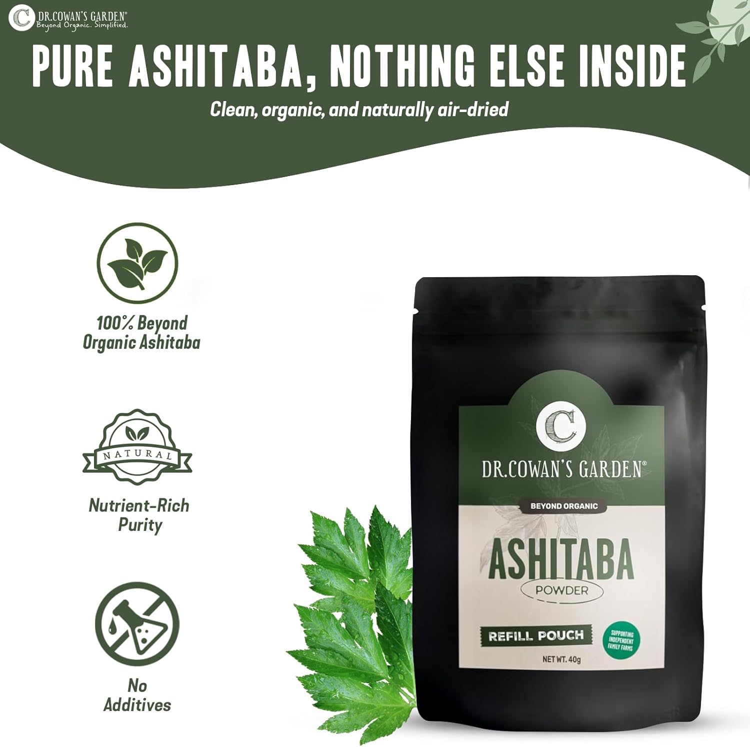 Dr. Cowan's Garden Ashitaba Powder – Premium Sun-Dried Ashitaba Leaves – Small-Batch Herbal Superfood – Pure Ashitaba Powder for Daily Vitality, Digestion Support (20 Servings)