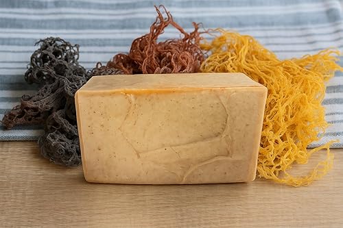 Miniatura 2 de Sea-Weed Sea-Moss Shampoo Conditionig Barra de jabón para cabello y cuerpo, fortalece y nutre naturalmente el cabello y el cuerpo - Champú