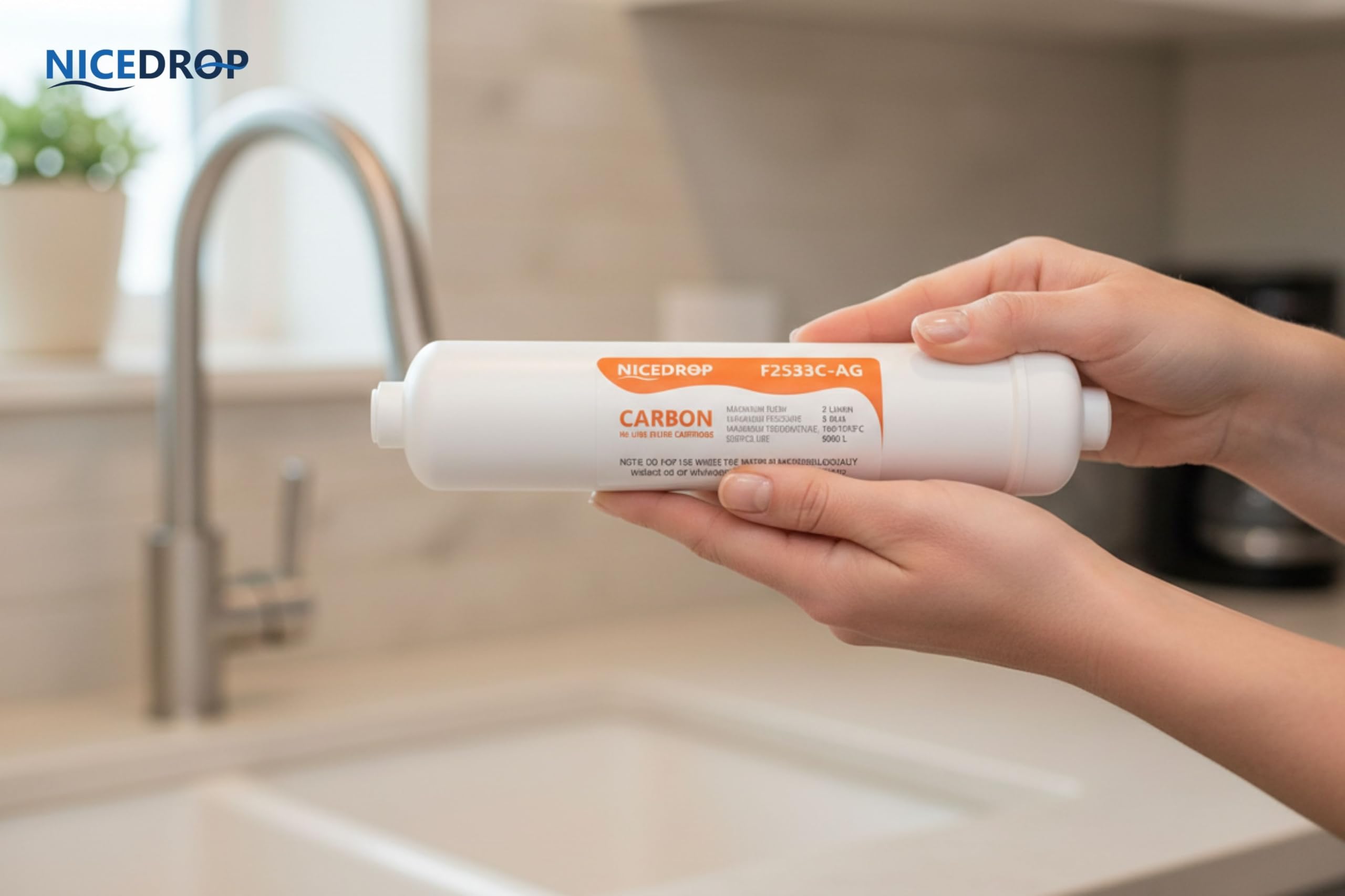 Filtro in Linea Carbone Attivo con Argento, 10 Pollici, Elimina Cloro e Particolato, Batteriostatico, 9000L - Impianti Osmosi (6)