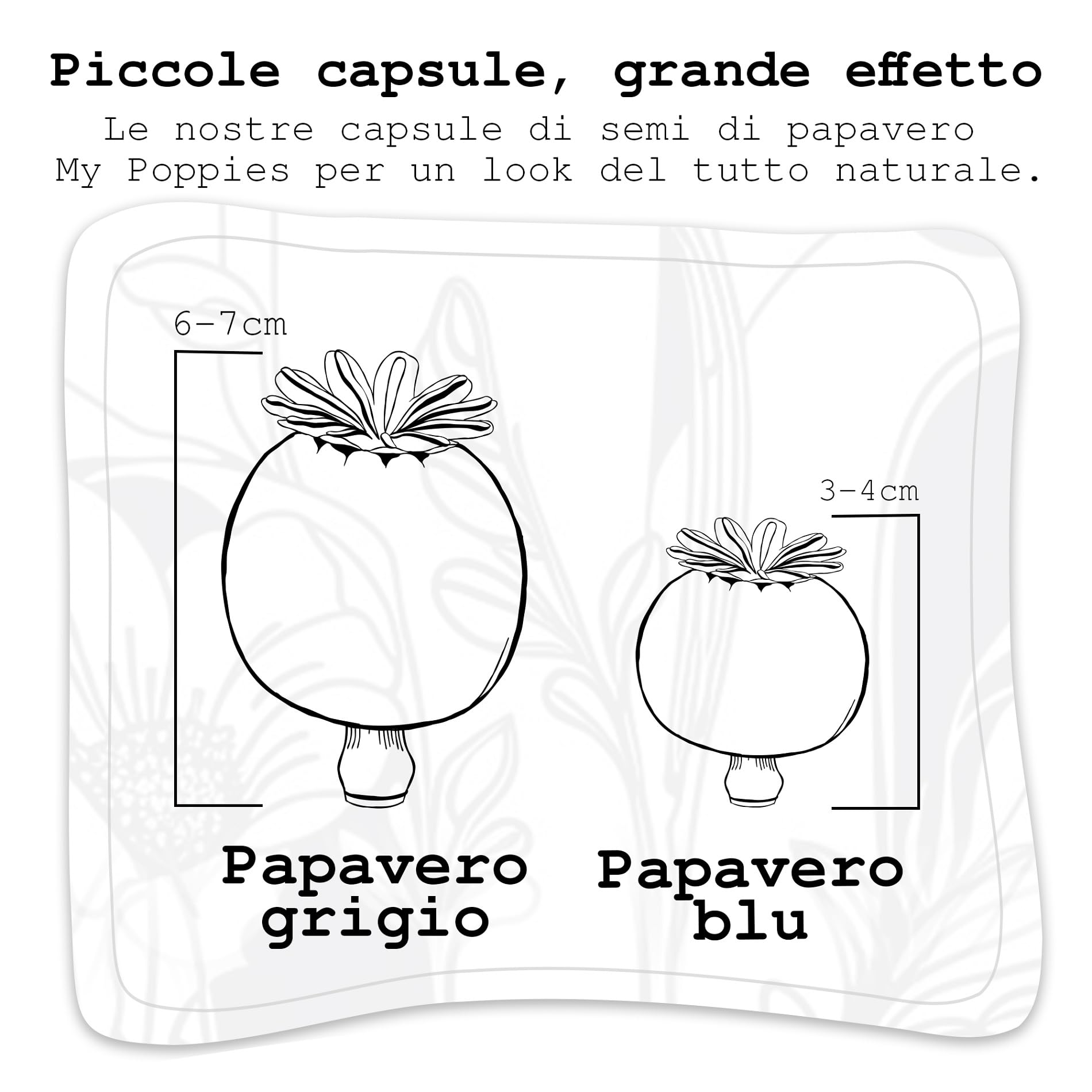 Capsule di Papavero, Poppy Pods | Piccole & Senza Stelo | Essiccate | Materiale per Hobbistica & Decorazioni (200 g)