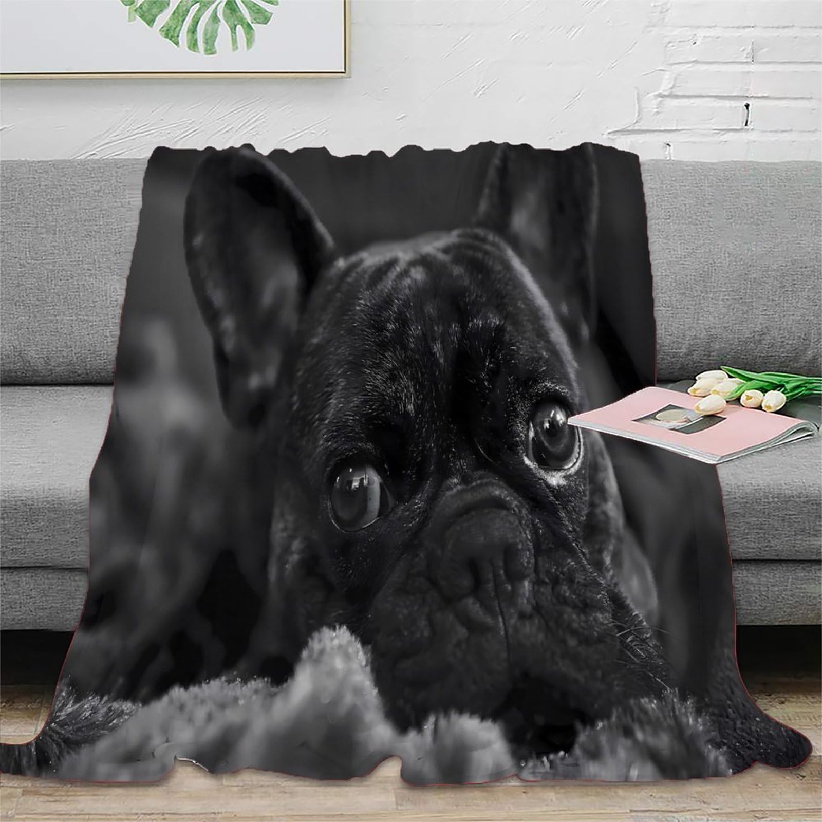 Couverture French Bulldog moelleuse en microfibre supérieure noire et blanche