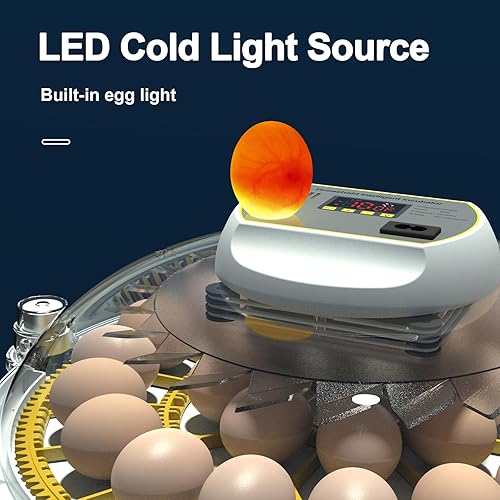 Miniatura 4 de Incubadora de huevos de 8 a 33 huevos para incubar huevos, incubadora de bandejas de huevos dobles con giro automático de huevos y adición de agua,