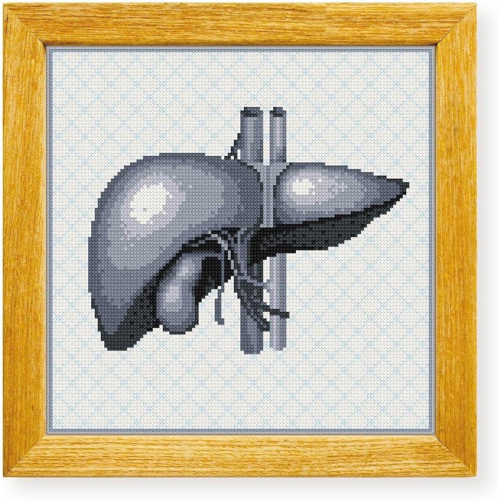 Awesome Pattern Studio Liver The Human Anatomy DS2068, Diamond Painting Kit, Diamond Art Kits for Adults, Full Drill 5D Diamond Dots Kits. All Items Included.