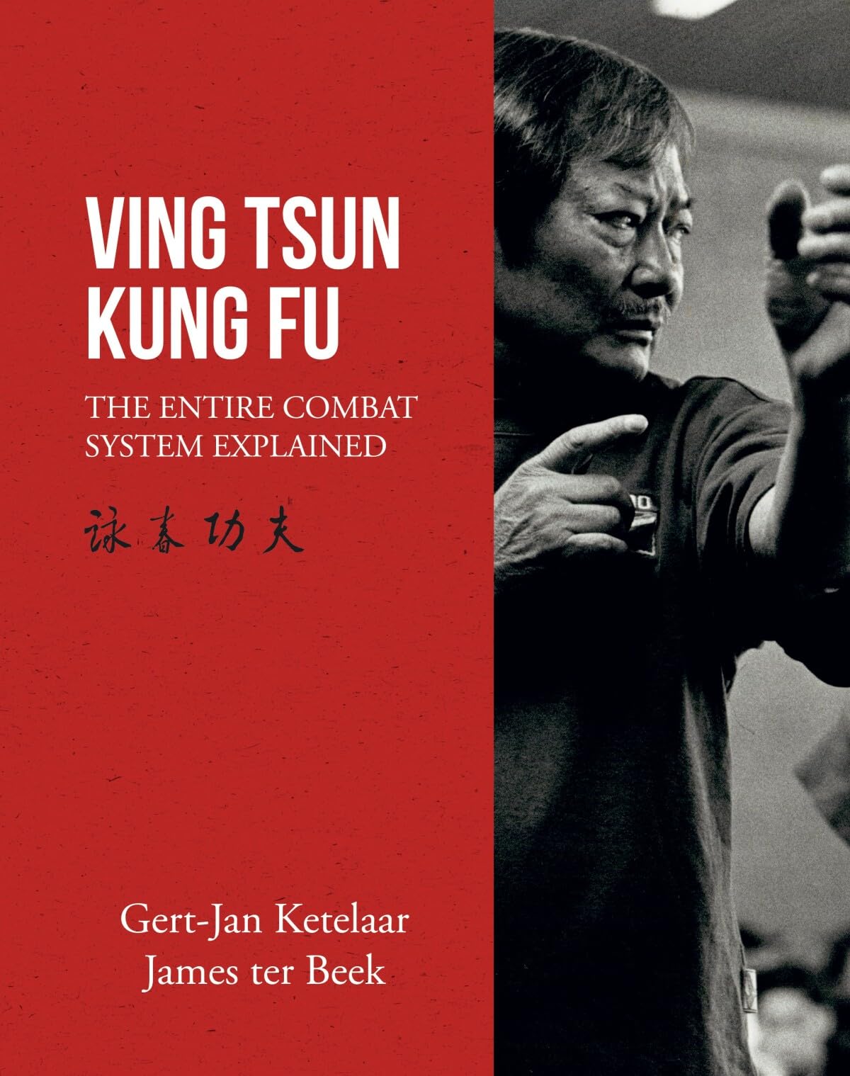 Ving Tsun Kung Fu: the entire combat system explained
