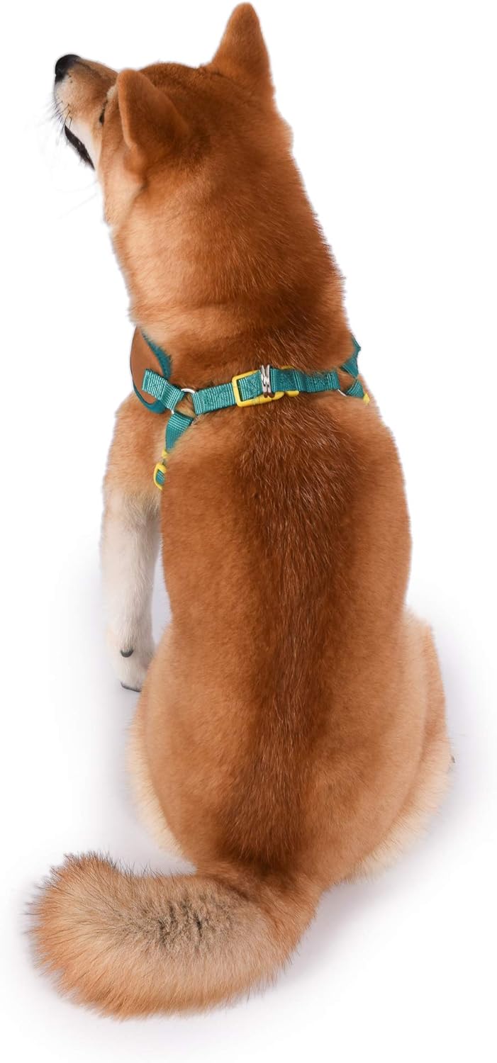 Scooby-Doo! No Pull Dog Harness, Adjustable, Size Large | Officially licensed Scooby Doo product, adjustable straps, D-ring for leash, sturdy walking gear, great gift for fans