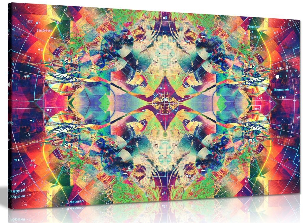Panther Print Psychedelic Trippy Art Colour Explosion Canvas Wall Art Picture Print (30X20in)