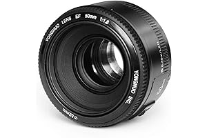 Yongnuo YN50mm F/1.8 Lens: A Budget-Friendly Prime Lens for Canon EOS Rebel Digital Cameras
