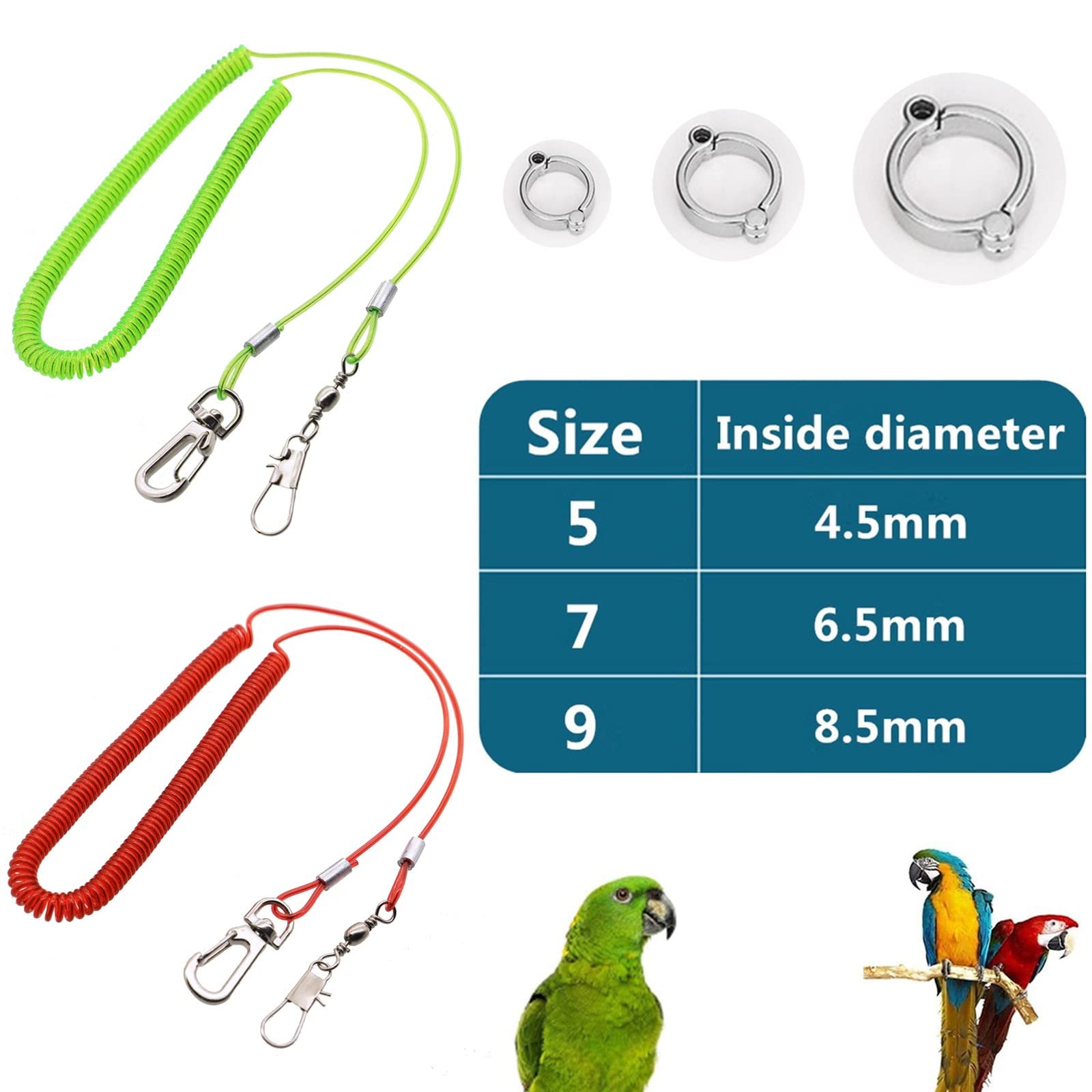 Guinzaglio Per Pappagalli E Uccelli - Corda Volante Da 5m Con Anelli Regolabili, 2 Pezzi - Foto 9