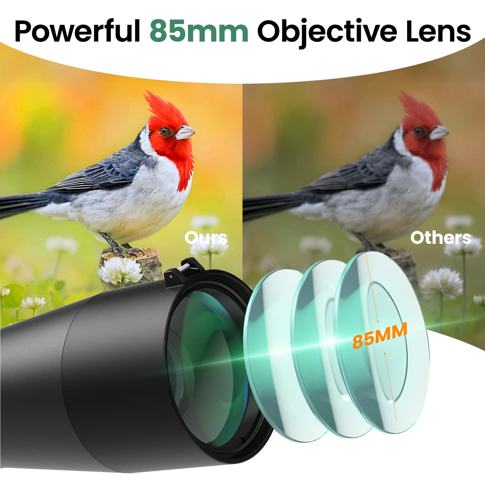 Gosky 20-60×85 Spotting Scope with Tripod - Phone Adapter, Dual Focusing Spotter Scope for Bird Watching, Wildlife Scenery (Black) | Alcance de doble enfoque de largo alcance con prisma BAK4 impermeable para observación de aves, paisaje de vida silvestre