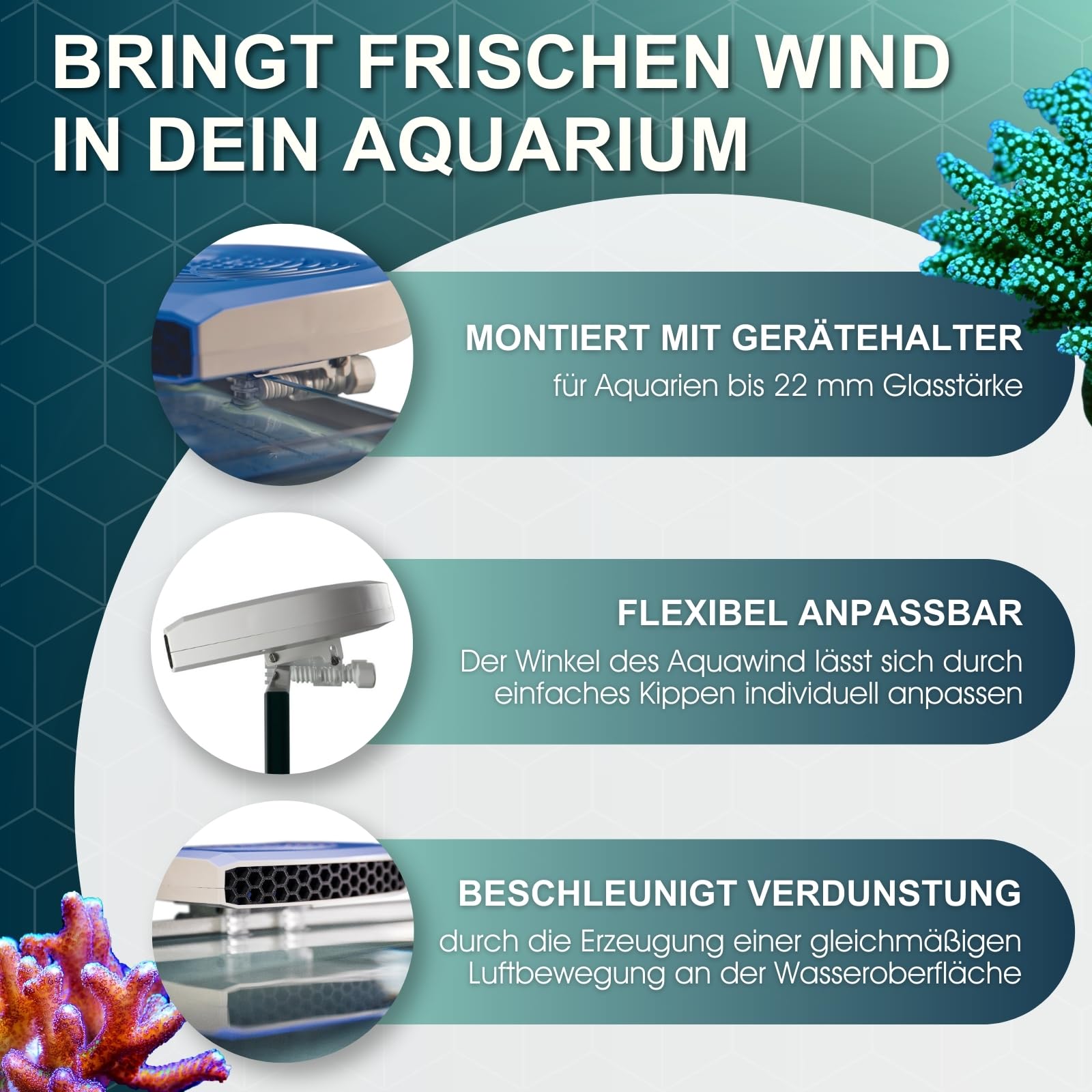 Tunze Aquawind eco chic Salzwasser I Aquariumbelüfter für Meerwasser-Aquarien I energieeffiziente & leise Aquariumkühlung von 2-4°C I Aquariumlüfter