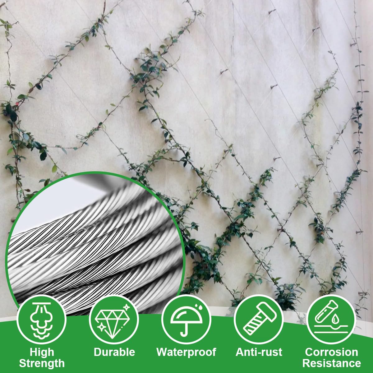 Rankhilfe aus Edelstahl für Kletterpflanzen, für Garten/Mauer/Beton/Zaun | 30M Spalier auf Plantagenstandard, mit 3 mm Durchmesser, Set Drahtseile System Kit für Pflanzen mit Wall Mount Brackets