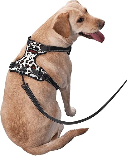 Miniatura 10 de Arnés personalizado para perro sin tirones, chaleco personalizado con bandera estadounidense vintage con número de teléfono y nombre de mascota,