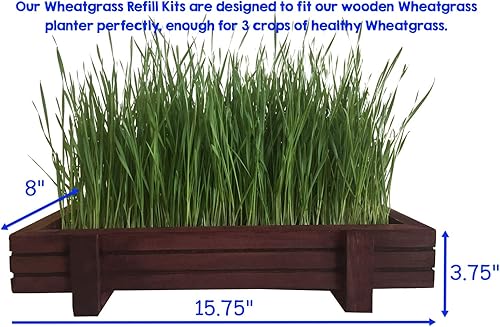 Miniatura 4 de Paquete de 3 repuestos de hierba de trigo orgánico para tierra y semillas premedidas. Úselo con las hermosas bandejas microverdes de madera