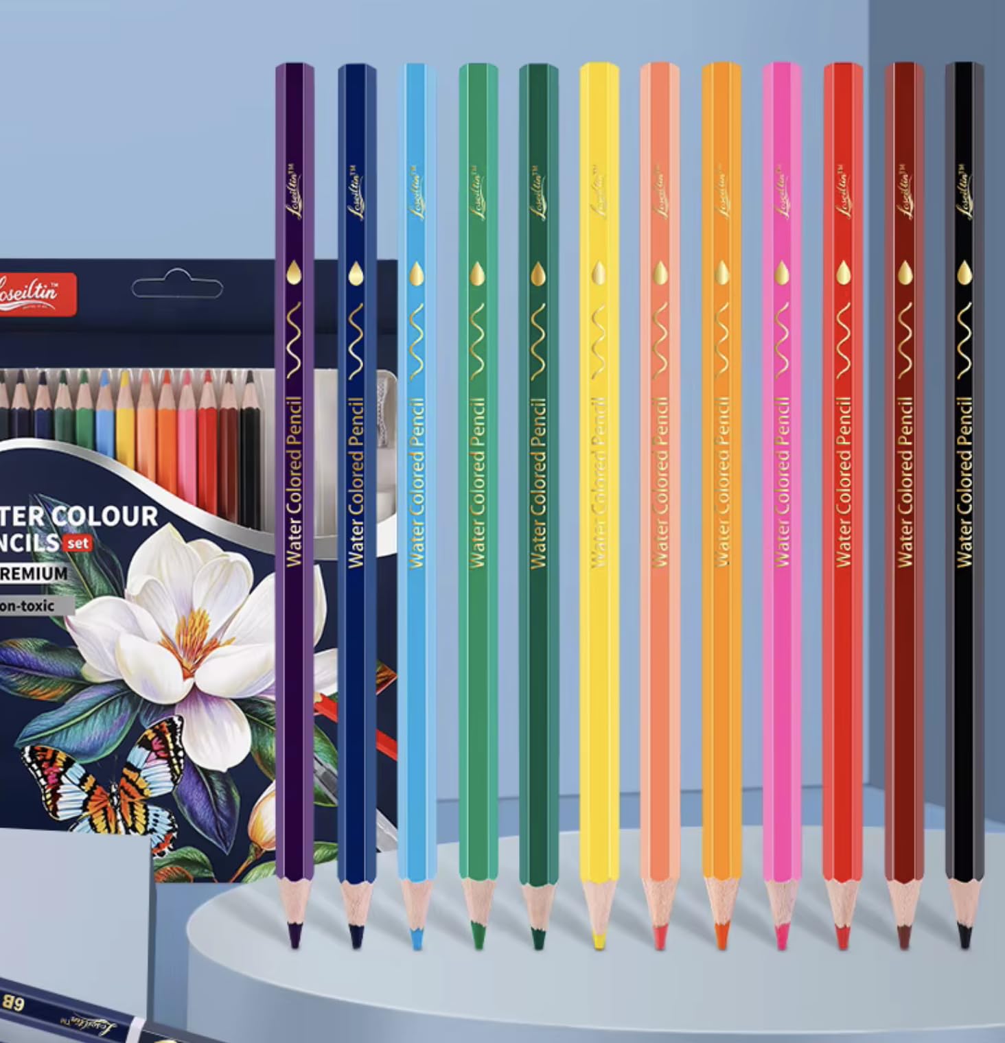 Loseiltin 21-piece Watercoloured Pencils set: 13-color Pencils, drawing pencils, Sharpener, Eraser and brush for Painting, Sketching Art