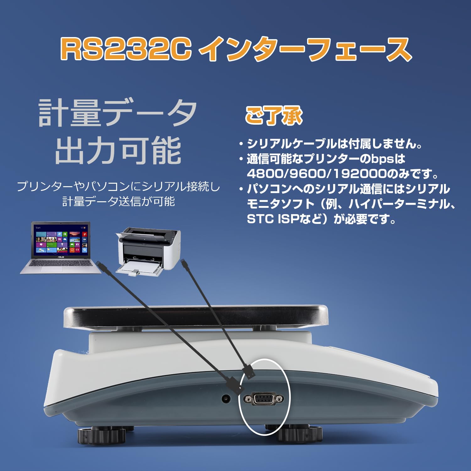 RS-232C interface port on the scale