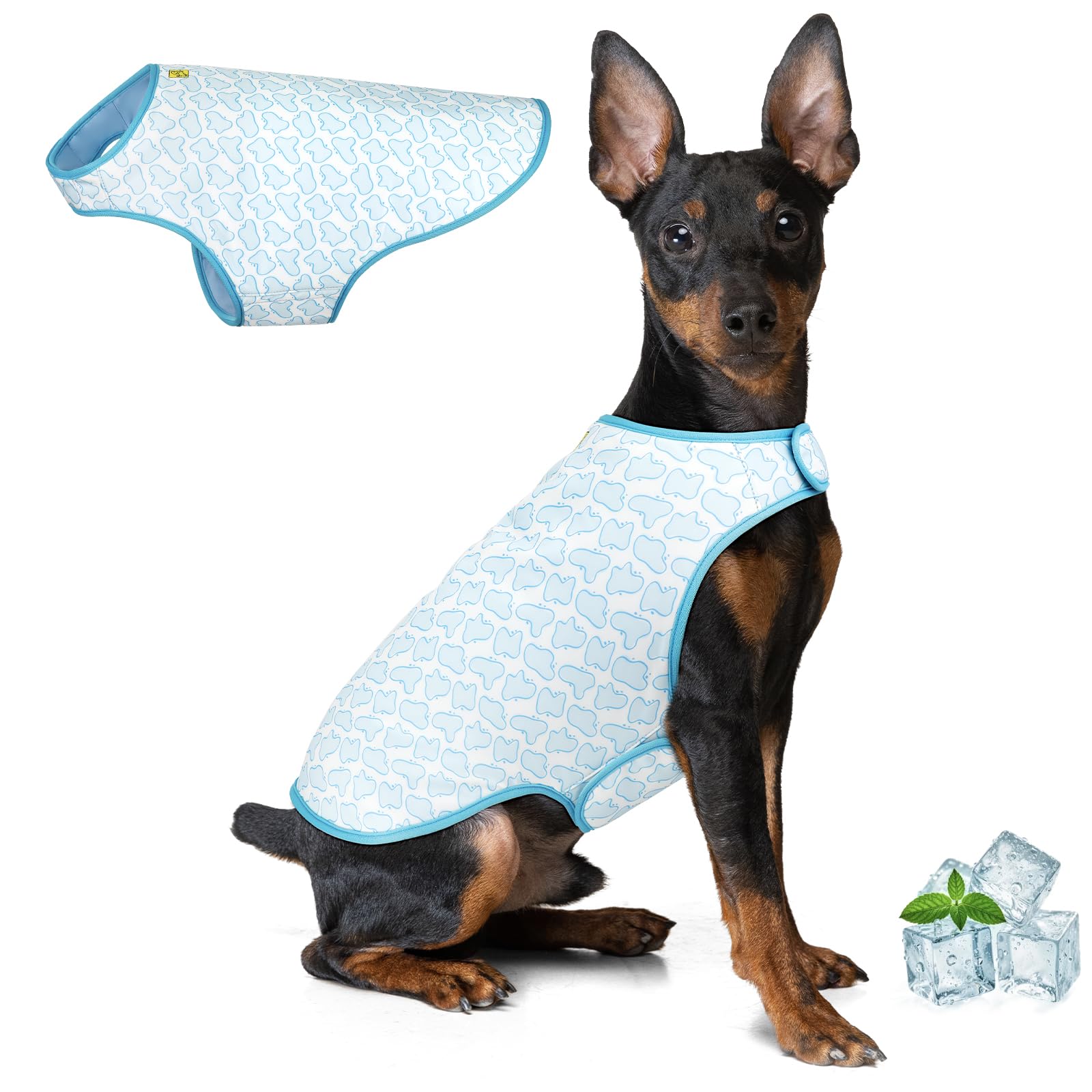 Gilet rafraîchissant pour chiens veste anti UV réglable contre la chaleur