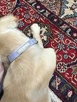 Review Image by Amazon Customer