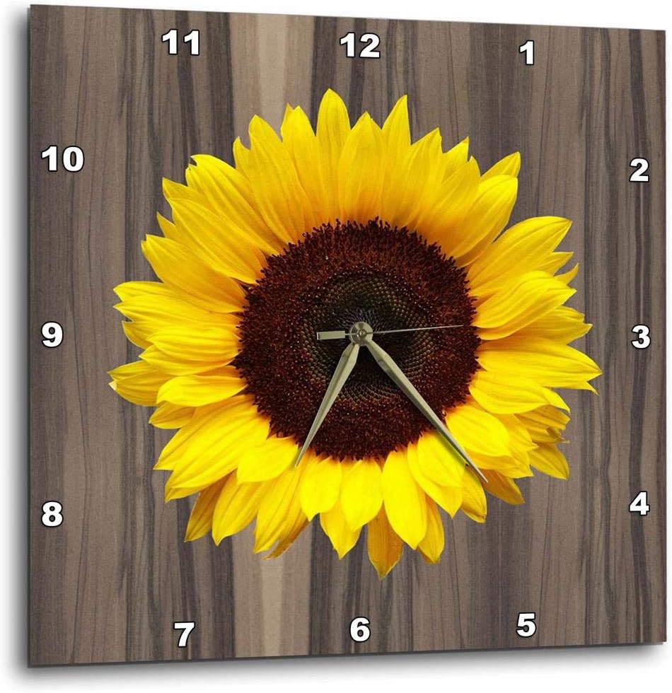 3dRose DPP_181827_1 Wood Image with Sunflower Wall Clock, 10 by 10"