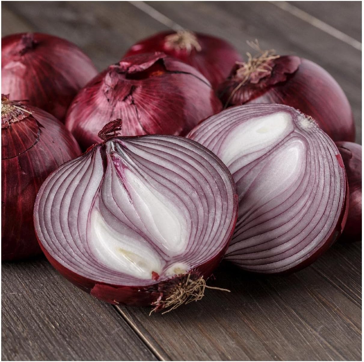 Everwilde Farms - 1 Lb Red Burgundy Onion Seeds - Gold Vault