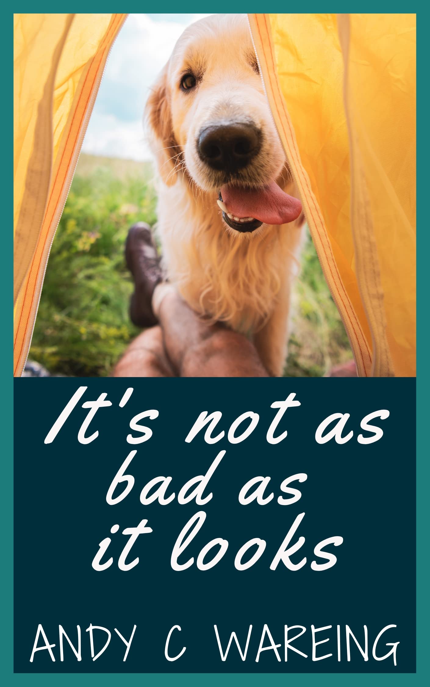 It's not as bad as it looks : A Travel Adventure (Book Three) (The Tailspin Travelogues)