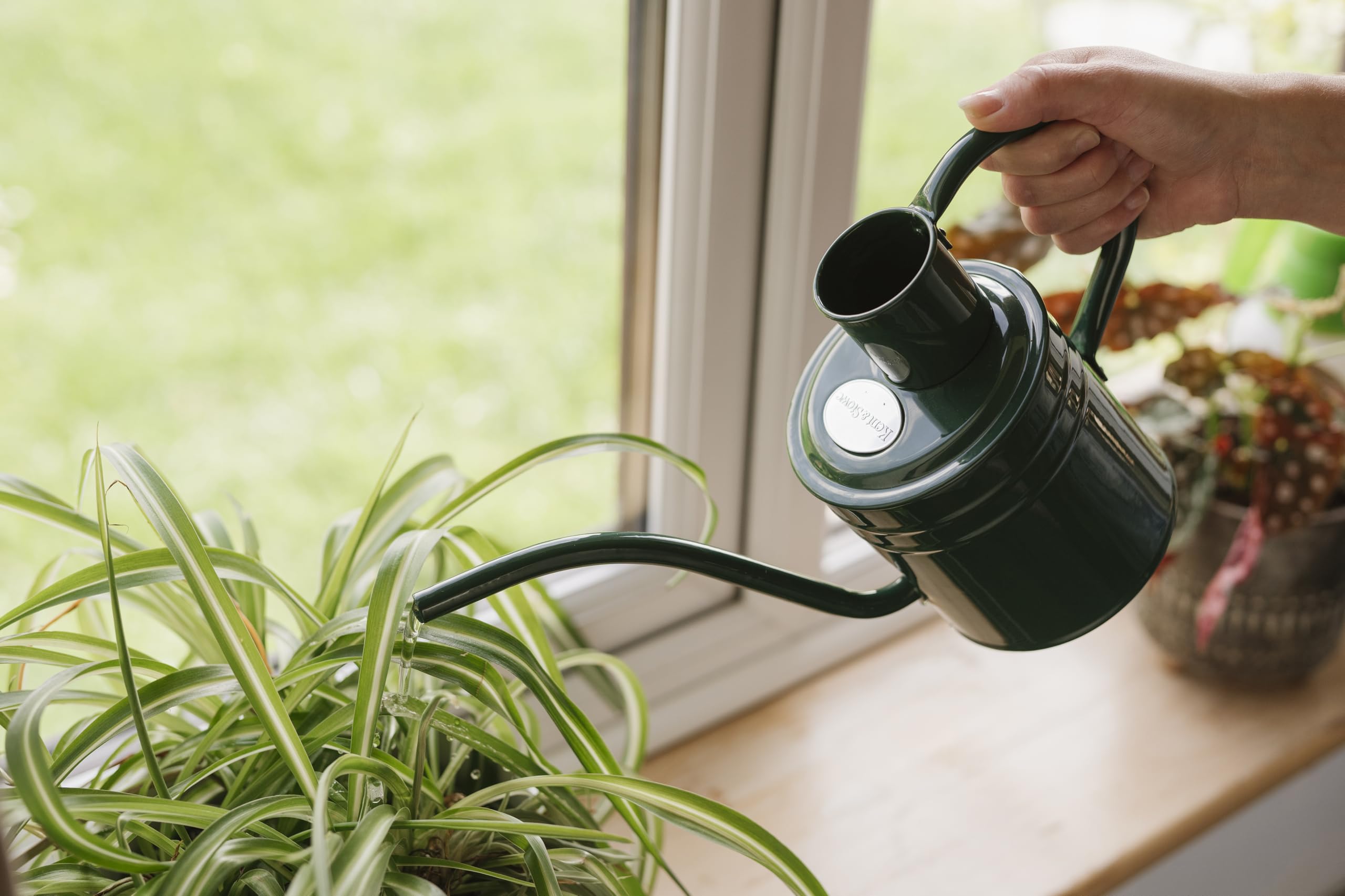 Kent & Stowe Annaffiatoio da 2 l, per interni ed esterni, colore verde foresta, resistente alla ruggine, con manico e beccuccio lungo, attrezzi da giardino classici per tutto l'anno in acciaio