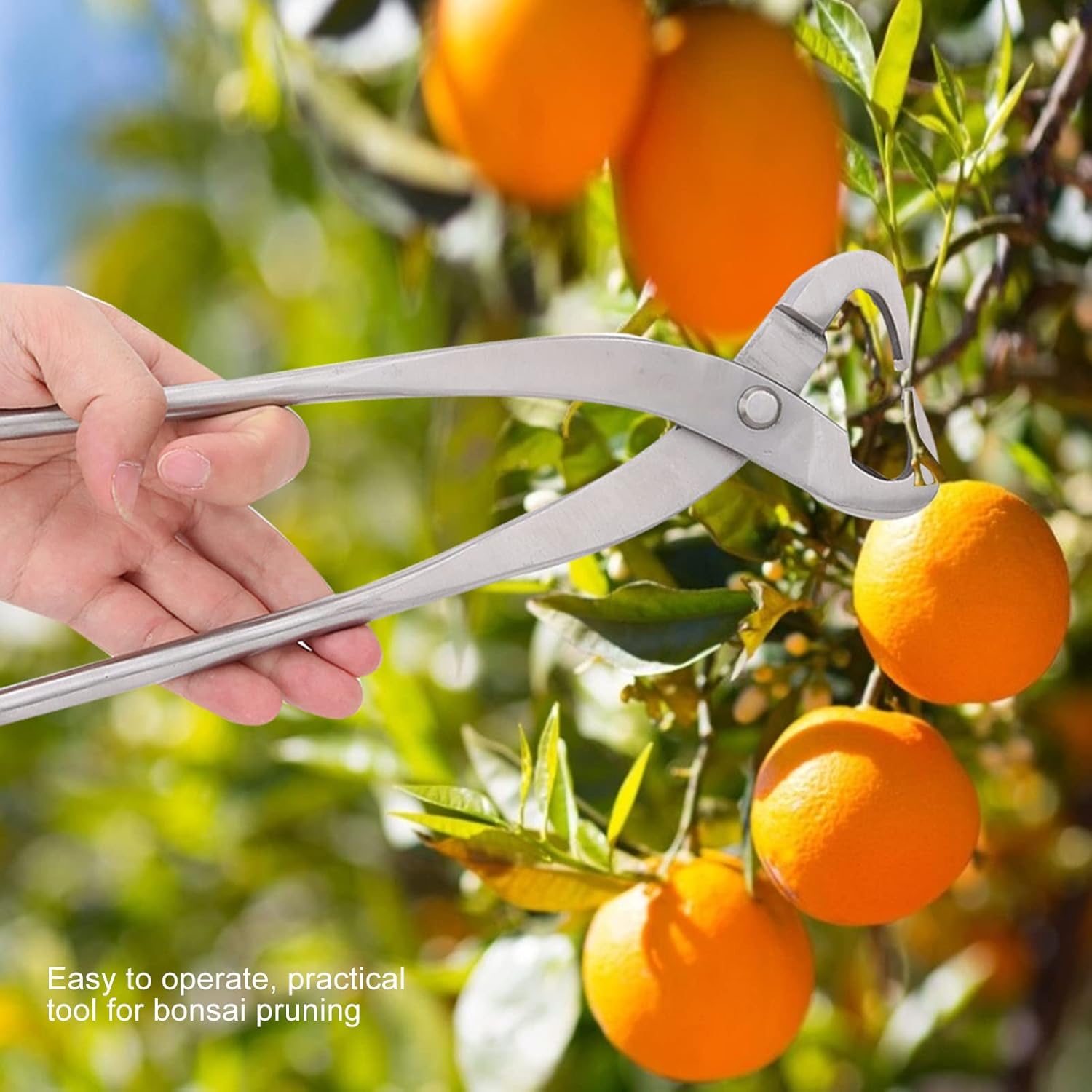 Professional Bonsai Trunk Splitter, 20cm Chrome Alloy Branch Pruning Tool with 1.1cm Concave Cutting for Garden Plants, Trees, Indoor and Outdoor Use