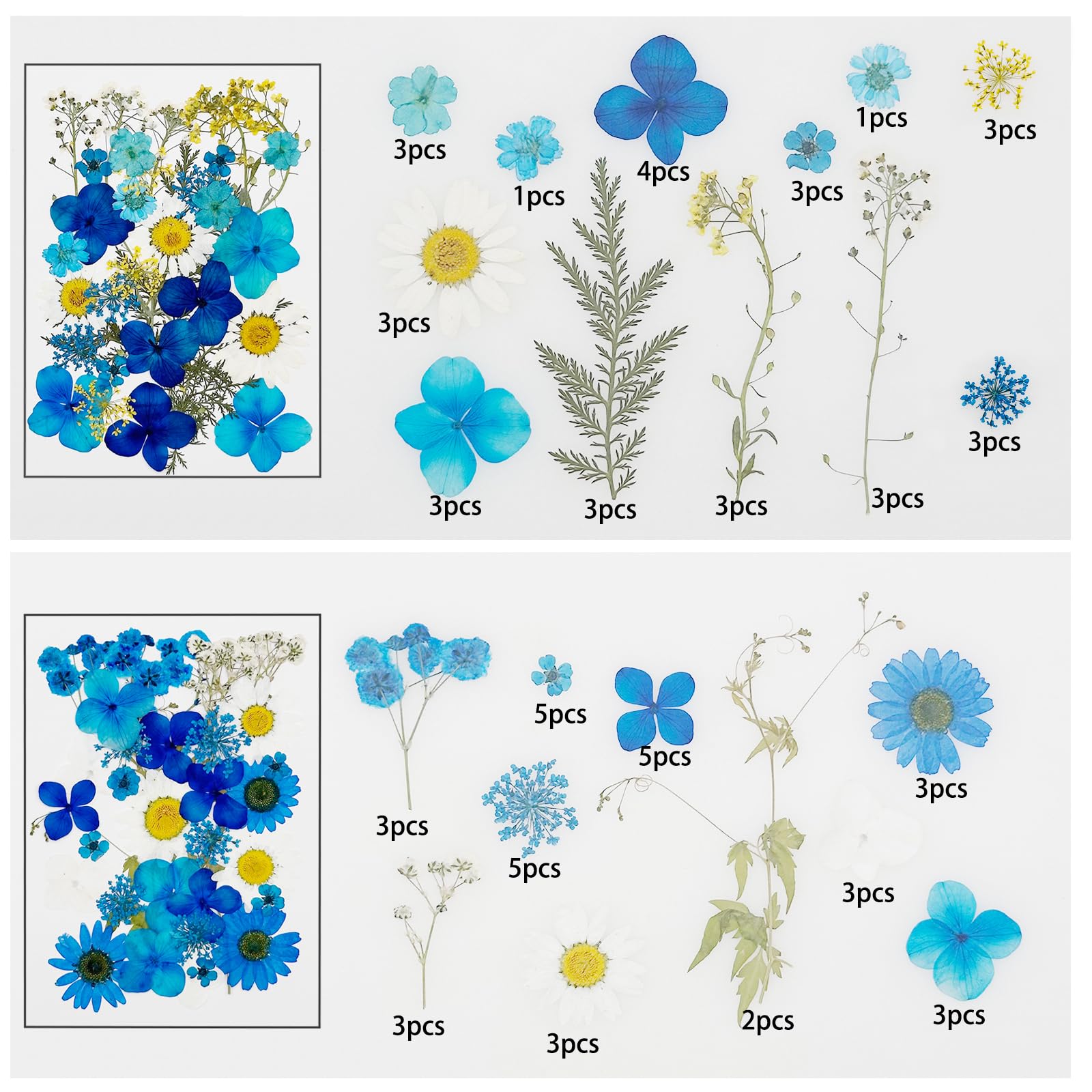 Cayway 170 PCS Dried Pressed Flower, Pressed Flowers and Leaves for Resin, Real Nature Pressing Floral Leaves for DIY Craft, Jewelry Making, Candle Scrapbooking Supplies, Blue - Image 2