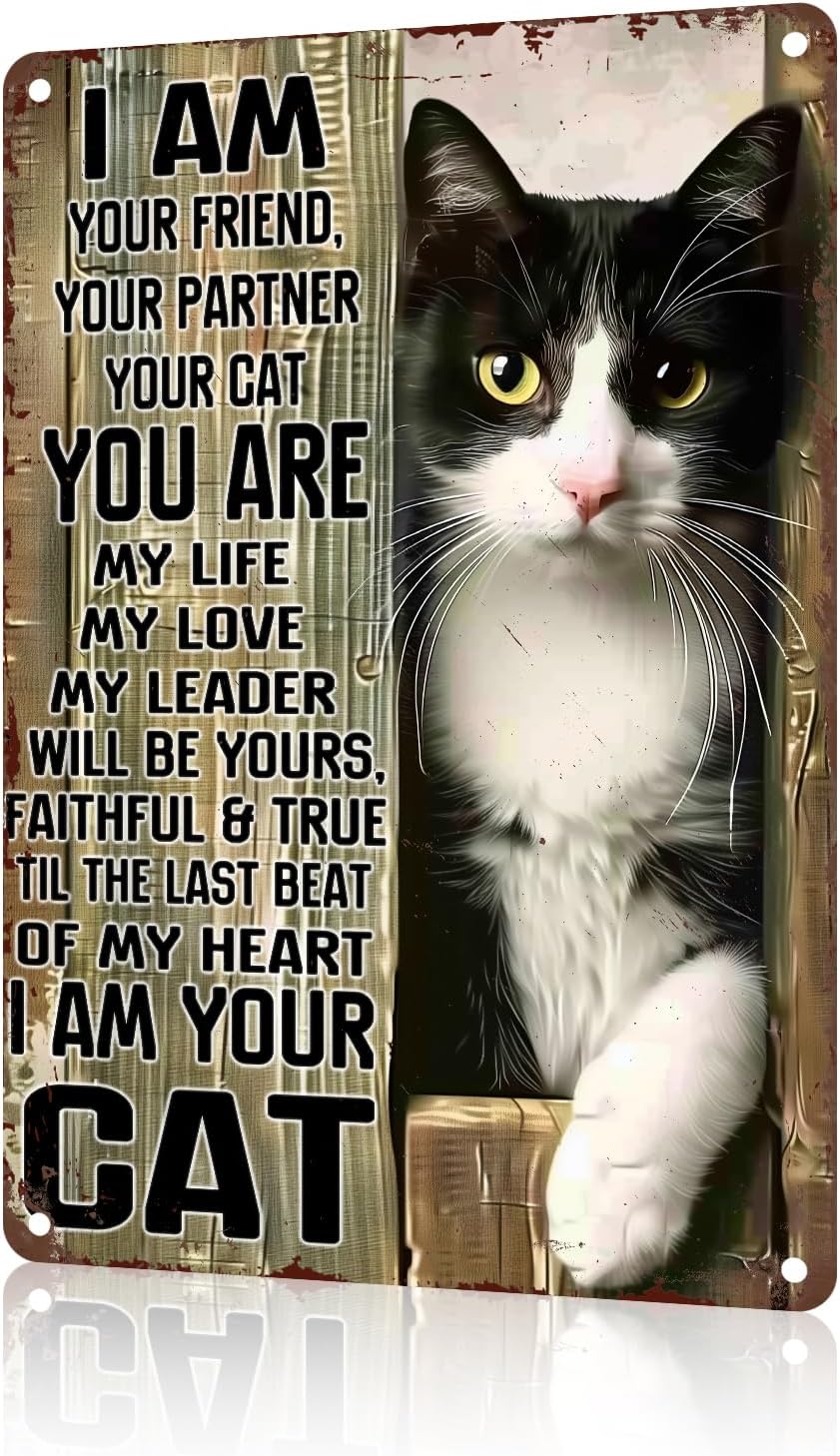 macago Vintage Metal Tin Sign Black Cat Retro Metal Sign Nostalgic Metal Wall Decor 8x12 inch