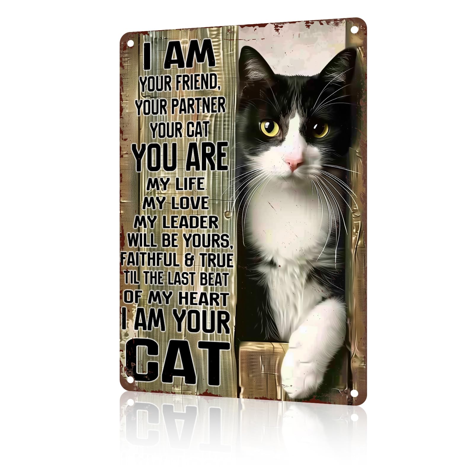 macago Vintage Metal Tin Sign Black Cat Retro Metal Sign Nostalgic Metal Wall Decor 8x12 inch