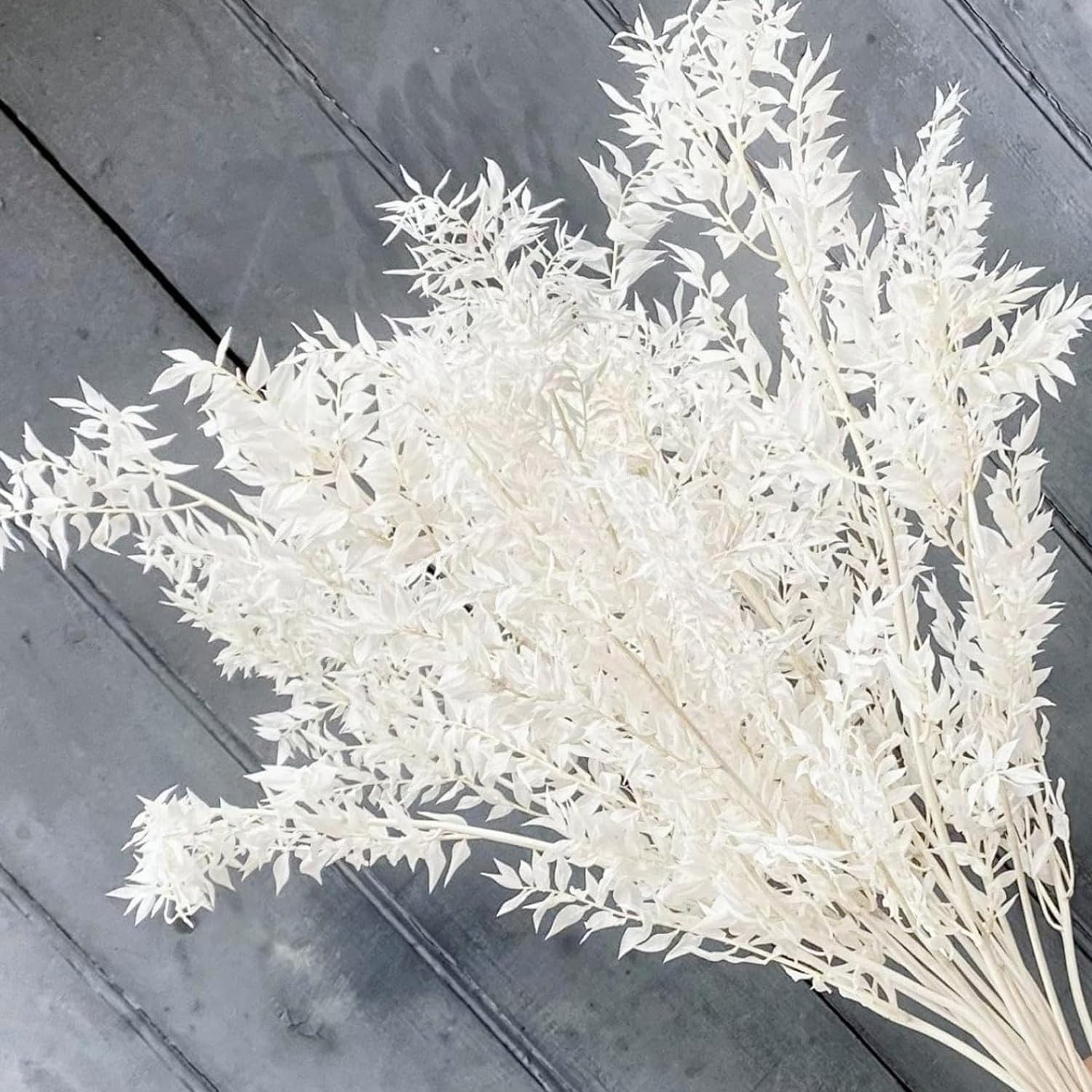 10 Pcs Dried Italian White Ruscus Stems, Preserved Vase Filler 44cm