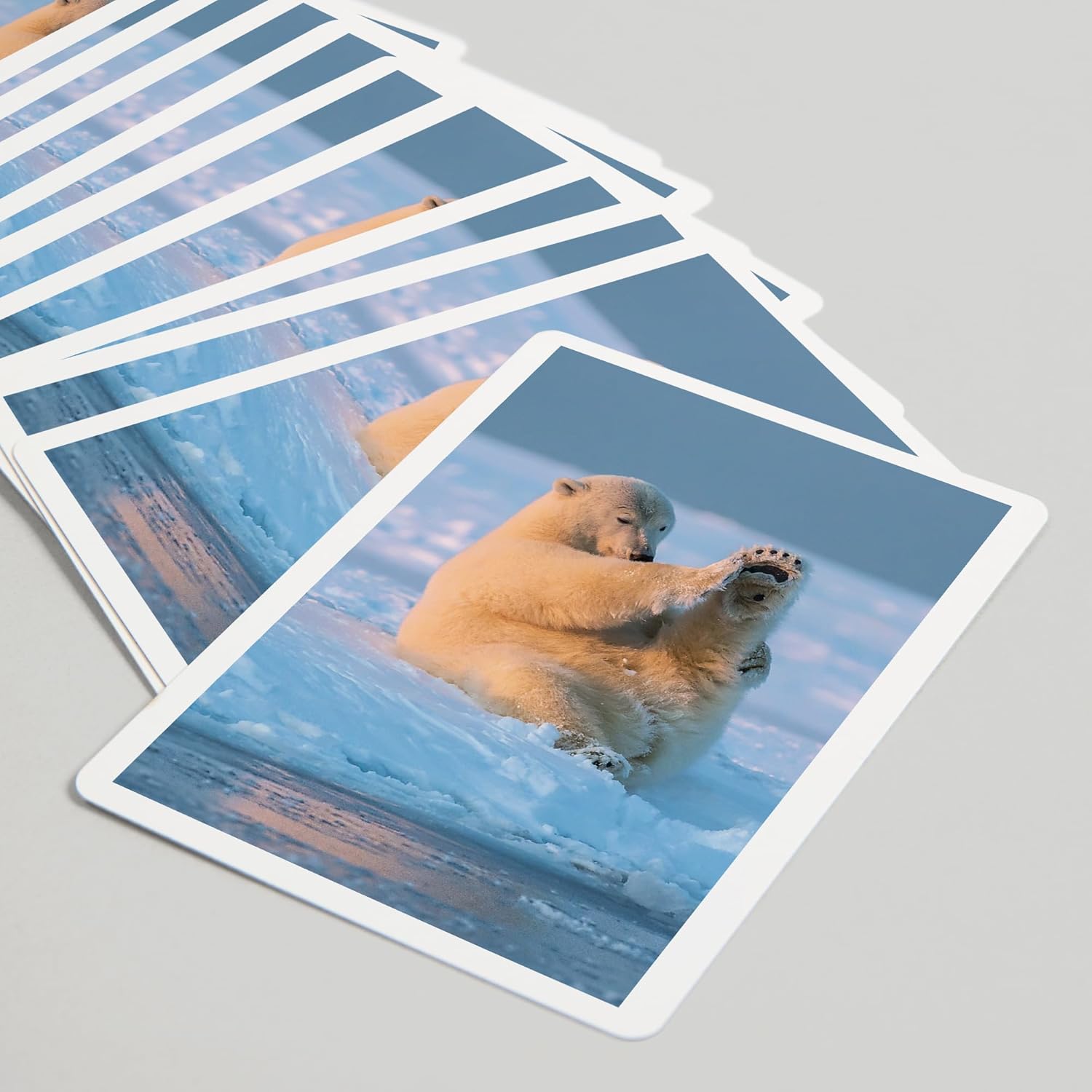 Lantern Press Polar Bear Playing, 52 Playing Cards for Adults, Poker Size Card Deck