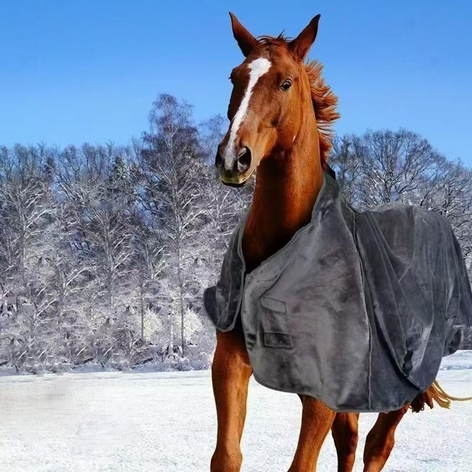 Miękki koc polarowy dla koni, regulowany koc zimowy, wiatroszczelny i oddychający (szczotka z włosiem w zestawie) (zielony, 72 cala)