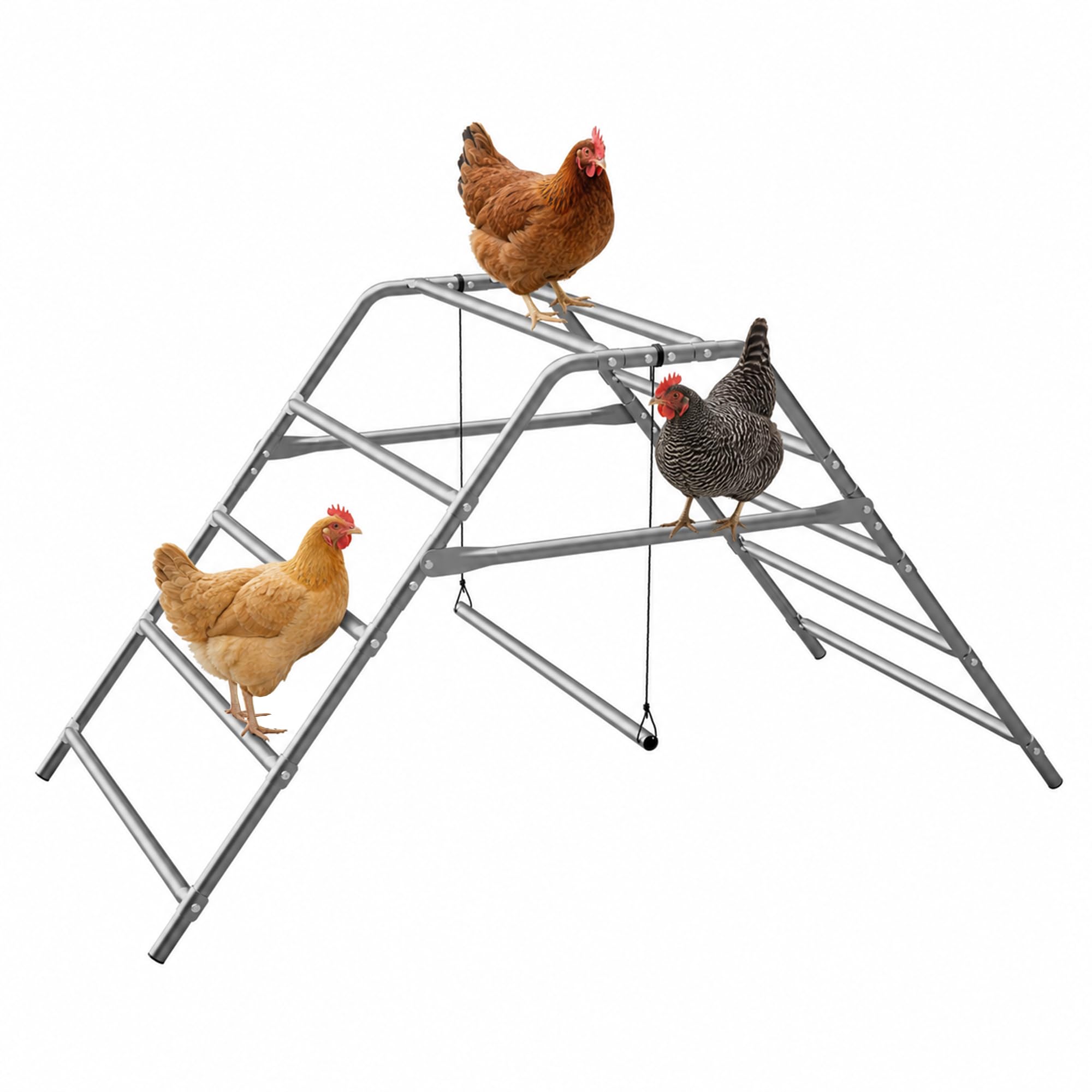 Percha grande para gallinero, barra de gallo para gallina, divertido juguete de pollo para accesorios de gallinero