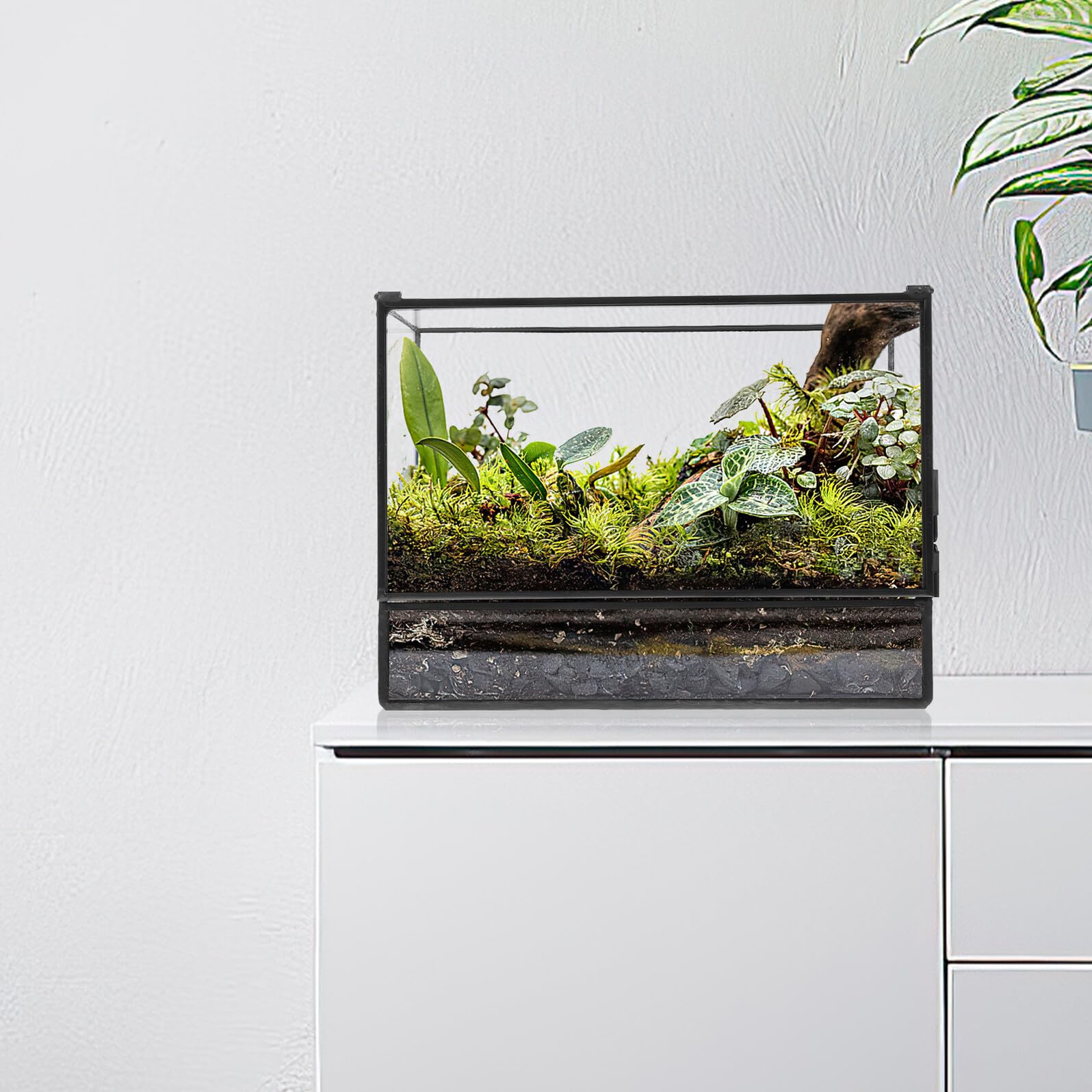 Hohopeti Handgefertigter Glas Terrarium behälter Mikro Landschaft Ökologische Pflanzendekoration Moos Terrarium für Wohnzimmer Büro Balkon Vielseitig Nutzbar