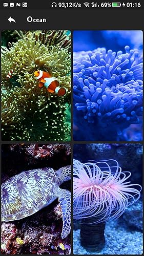 4k Wallpapers 2019