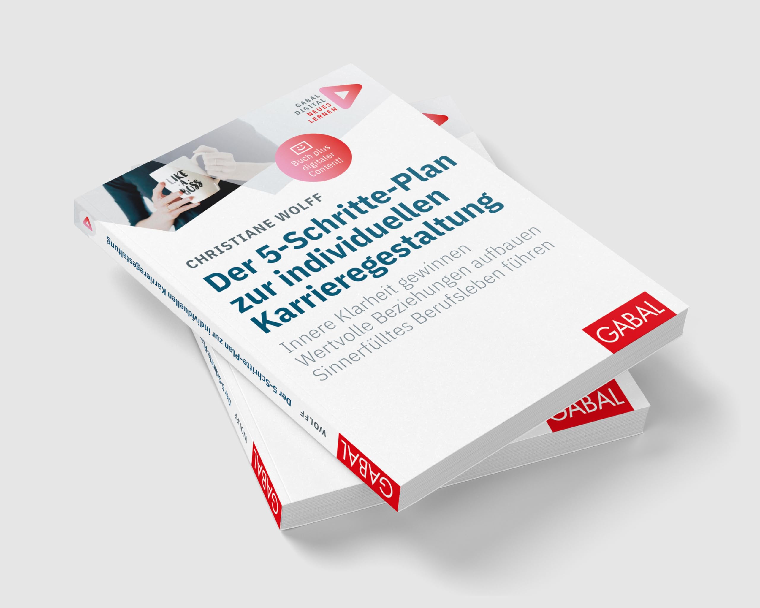 Der 5-Schritte-Plan zur individuellen Karrieregestaltung: Innere Klarheit gewinnen. Wertvolle Beziehungen aufbauen. Sinnerfülltes Berufsleben führen. ... Zusatzinhalten zum Buch (Whitebooks)