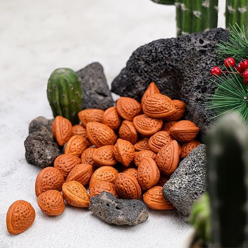 Miniatura 3 de 50 piezas de modelos de simulación artificiales, nueces falsas, almendra, alimentos, hogar, cocina, jardín, gabinetes, exposición, decoraciones de