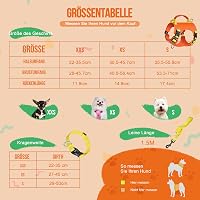 Arblina Kaleido Kutyahám Szett Kistestű Kutyáknak - Könnyű Hám, Nyakörv és Póráz Szett Narancs Színben, Fogantyúval és Fényvisszaverő Pántta 2