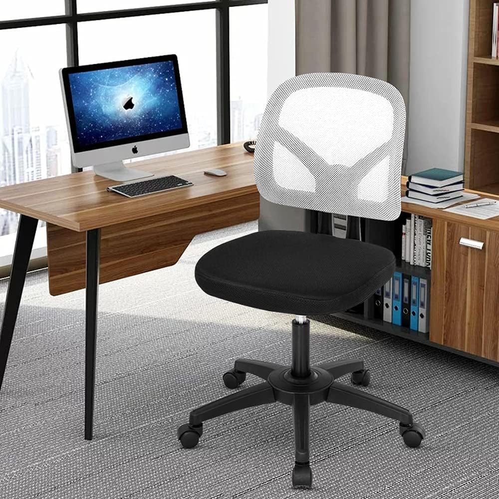 HGS Home Office Desk Chair Armless Task Chair Ergonomic