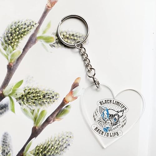 Miniatura 5 de FUNCYboo - Juego de 50 llaveros con cadena, incluye llavero dividido con cadena, anillos abiertos, cierre de langosta, llavero para manualidades,