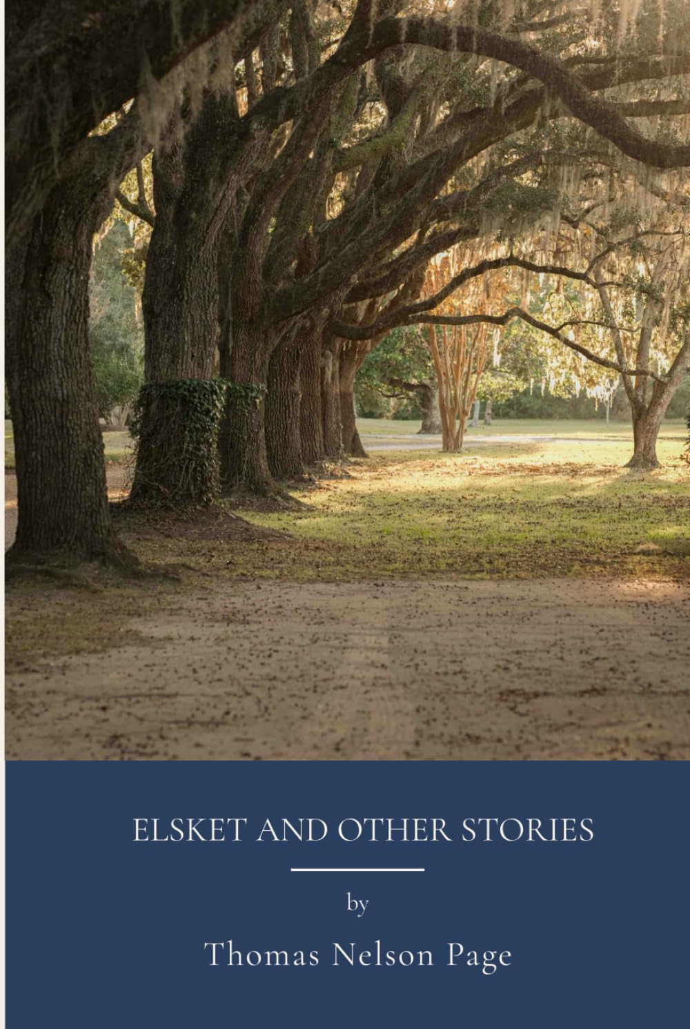 Elsket and Other Stories: Southern Literature From The American South (Annotated)
