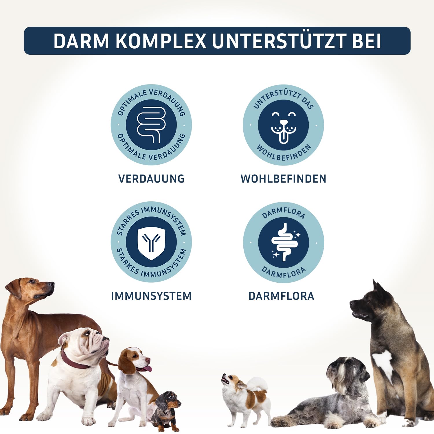 PetFokus Darm Komplex für Hunde - Unterstützung der Verdauung, entzündungshemmend, Gelenkgesundheit und Gewichtskontrolle, ergänzend zur Nass-, Trocken- oder Rohfütterung - in Deutschland produziert