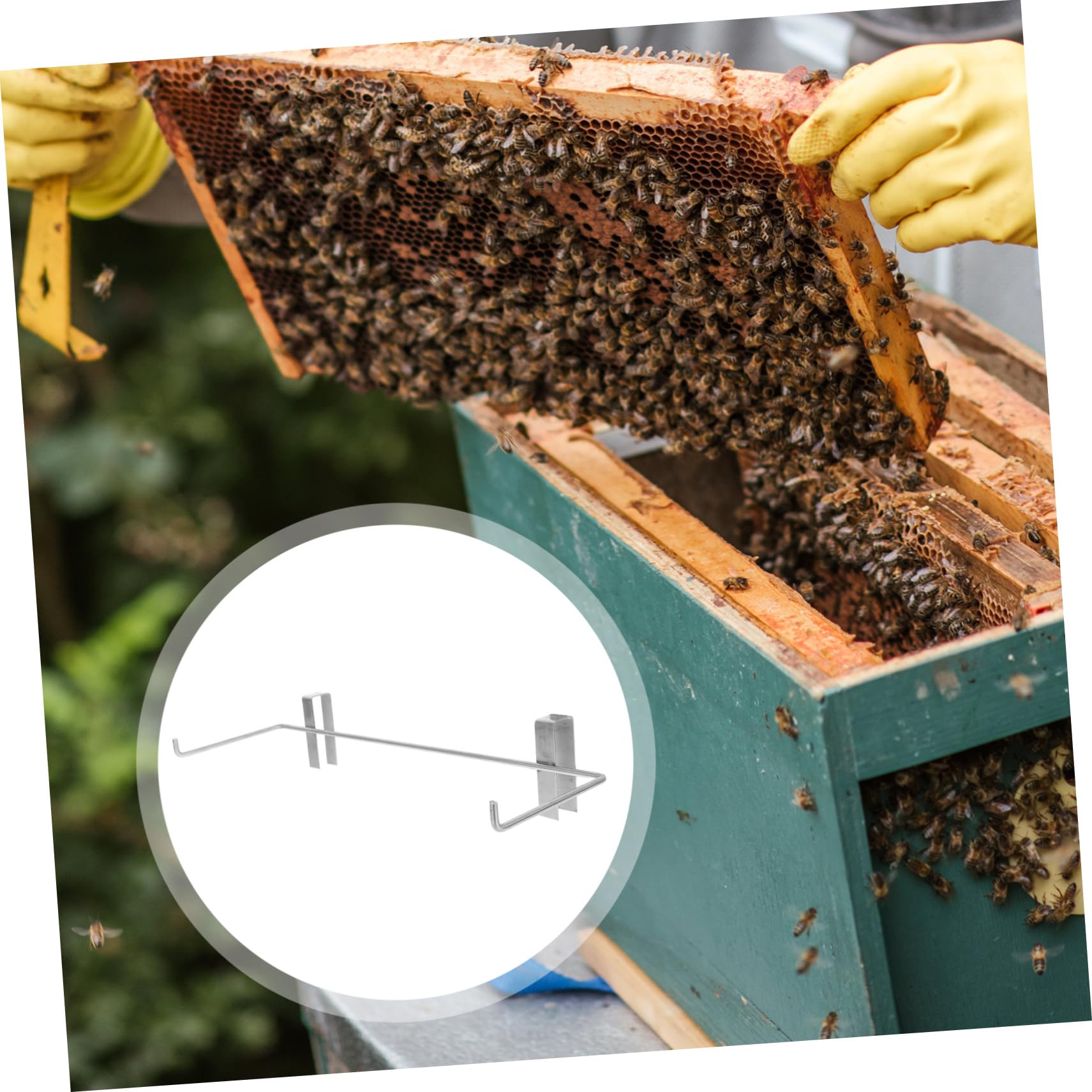 BESPORTBLE 2pezzi Per Telai Apicoltura Accessorio Per Allevamento Stabile e Resistente Per Alveari