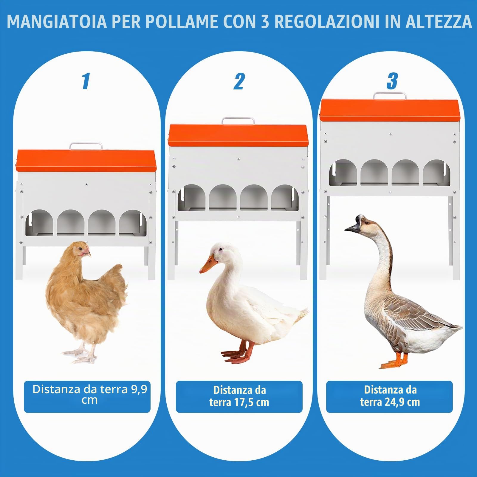 angiatoia Automatica Per Polli da Mangiatoia Per con gambe regolabili
