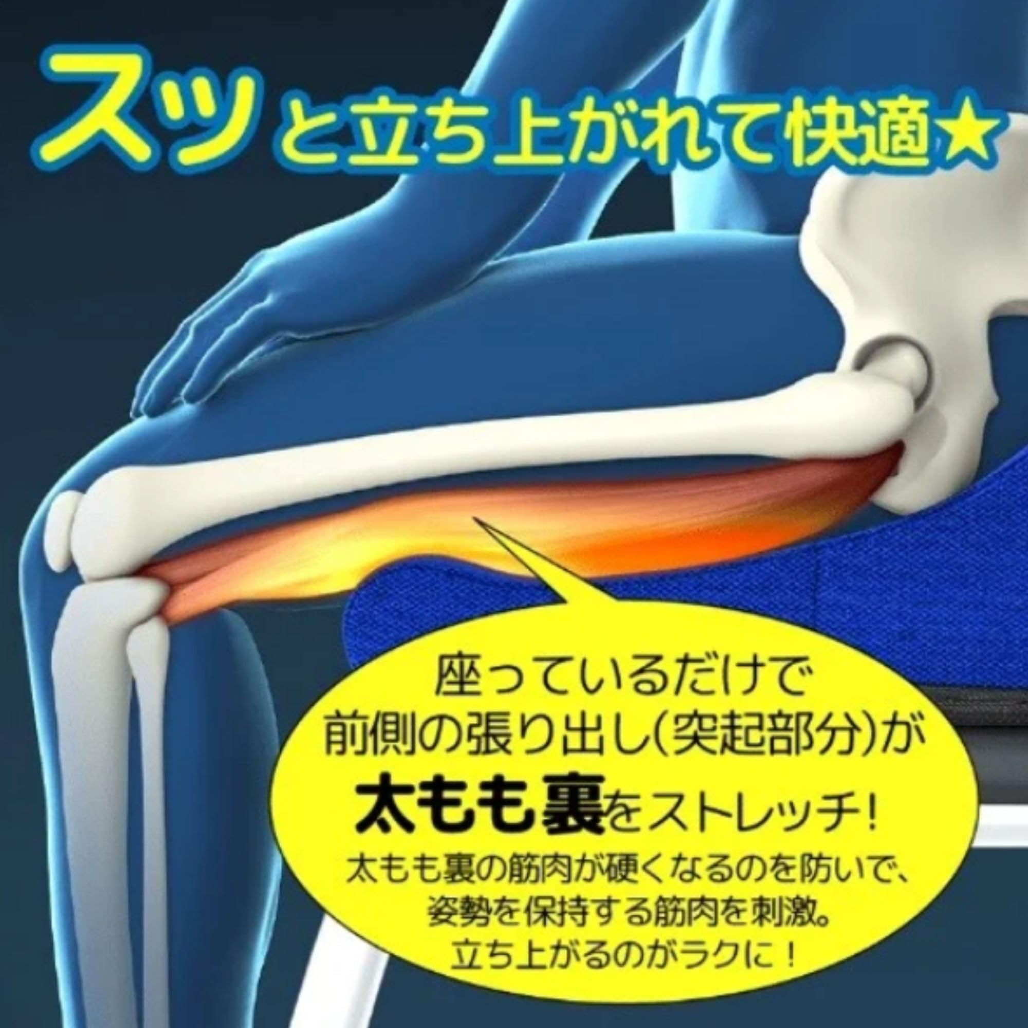 Amazon.co.jp: 丸菱工業 ろっかん式ストレッチクッション クッション