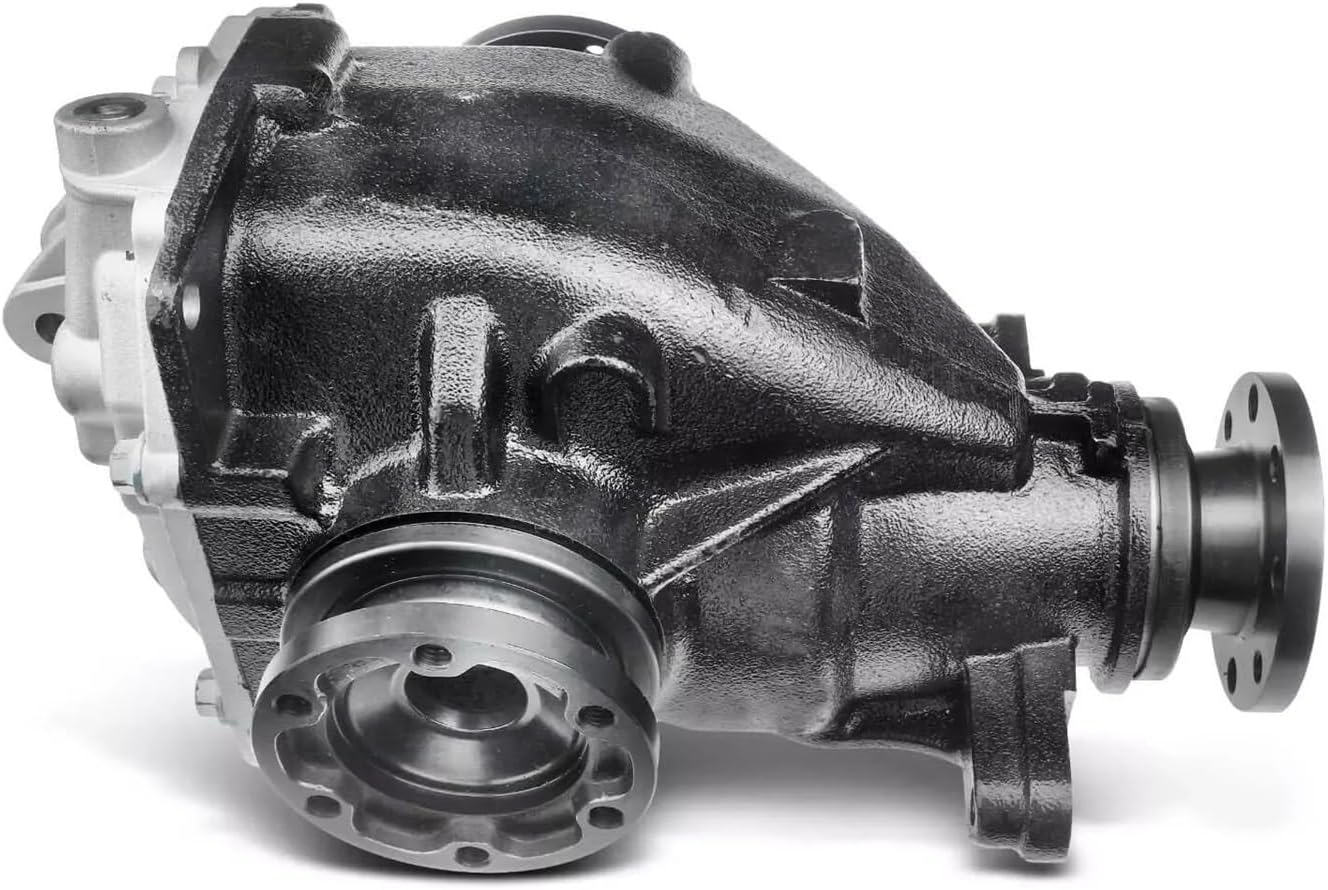 【海】江戸明治金工　双龍図　手彫　目貫一体　銅製　骨董品　専用箱付 海】江戸明治金工 双龍図 手彫 目貫一体 銅製 骨董品 専用箱